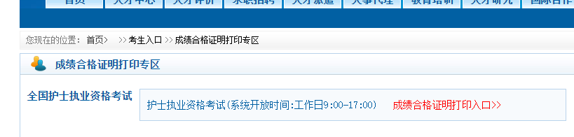 21年护士资格考试合格证明电子版7月6日开始打印